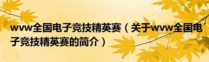 wvw全国电子竞技精英赛（关于wvw全国电子竞技精英赛的简介）