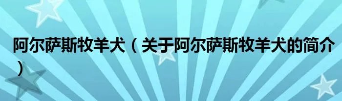 阿尔萨斯牧羊犬（关于阿尔萨斯牧羊犬的简介）