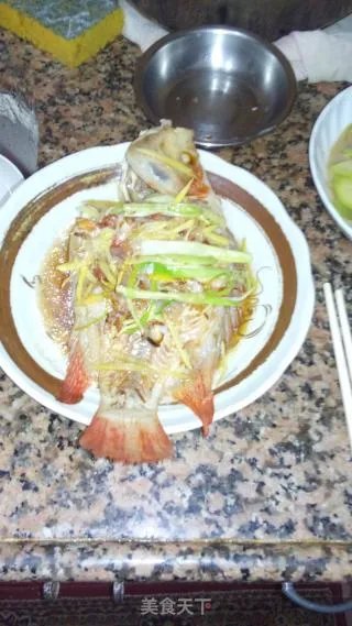 红鱼(忘了名的鱼)