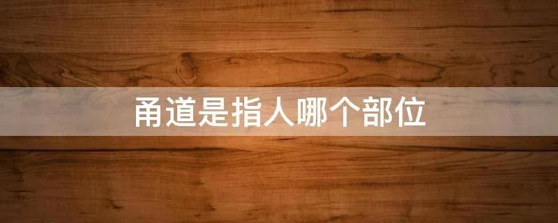 甬道是指人哪个部位