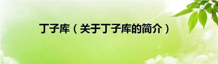 丁子库（关于丁子库的简介）