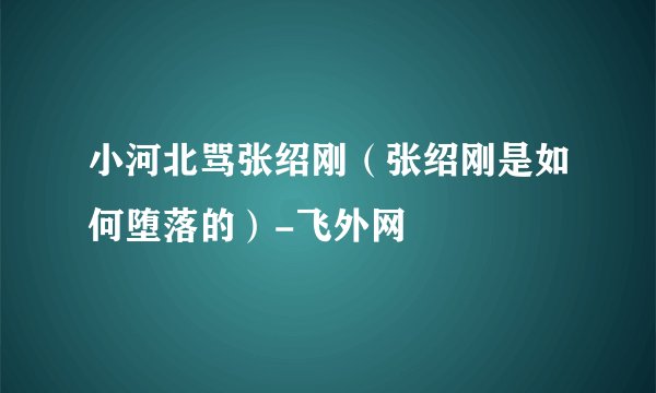小河北骂张绍刚（张绍刚是如何堕落的）-飞外网