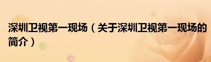 深圳卫视第一现场(关于深圳卫视第一现场的简介)