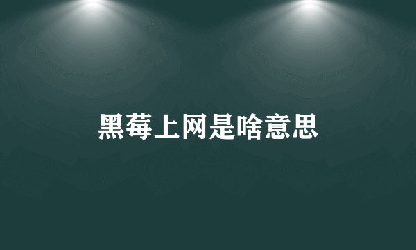 黑莓上网是啥意思