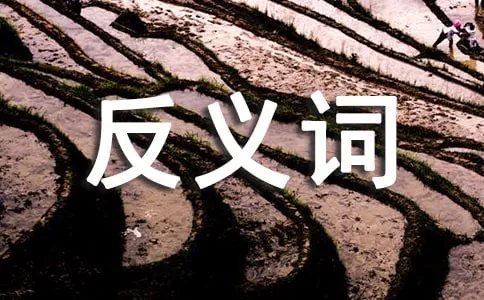 独特的反义词是什么