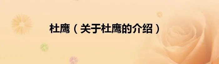 杜鹰（关于杜鹰的介绍）