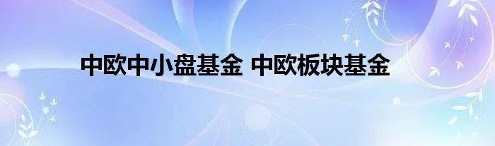 中欧中小盘基金 中欧板块基金