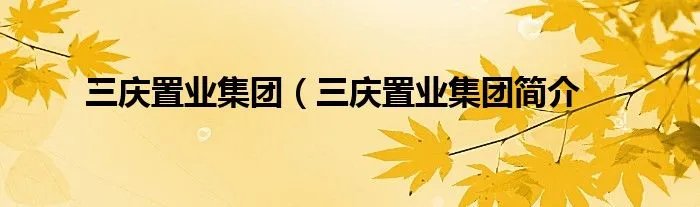 三庆置业集团（三庆置业集团简介