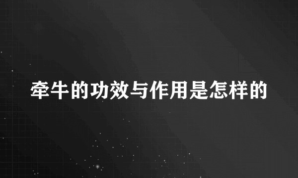 牵牛的功效与作用是怎样的