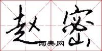 赵密
