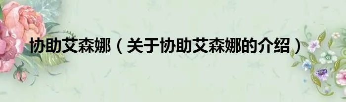 协助艾森娜（关于协助艾森娜的介绍）