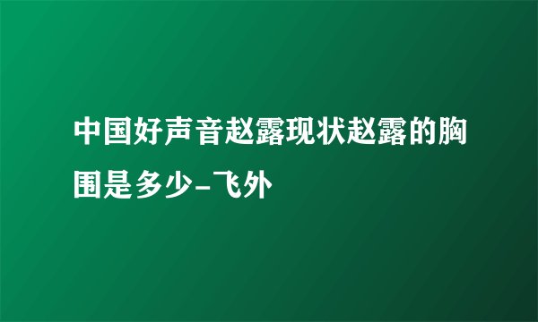 中国好声音赵露现状赵露的胸围是多少-飞外