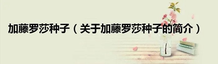加藤罗莎种子（关于加藤罗莎种子的简介）