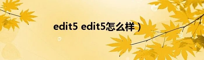 edit5 edit5怎么样）