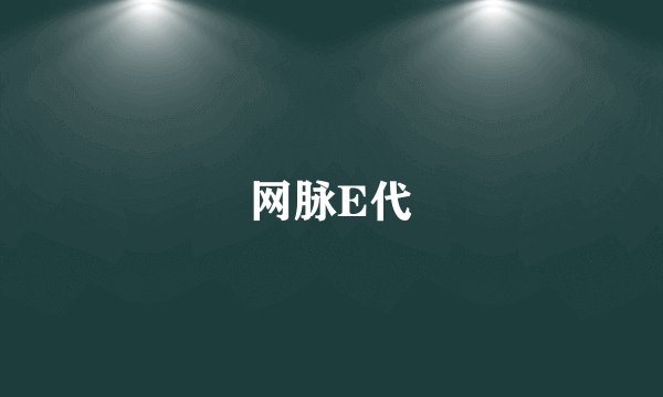 网脉E代