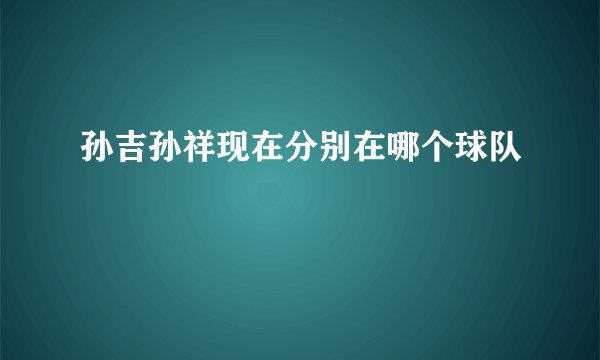孙吉孙祥现在分别在哪个球队