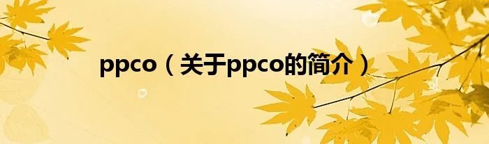 ppco（关于ppco的简介）