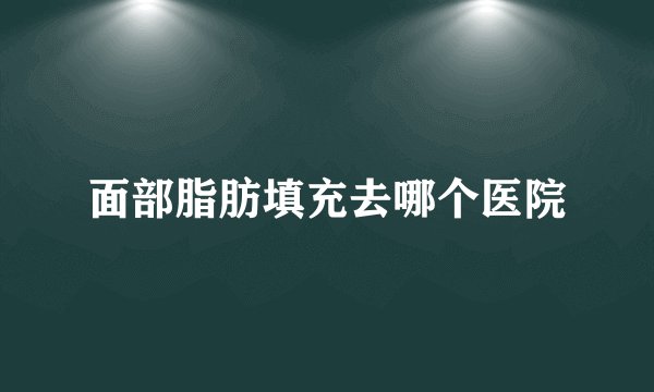 面部脂肪填充去哪个医院