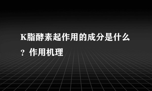 K脂酵素起作用的成分是什么？作用机理