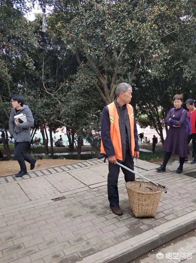 男子武大校园剧烈摇动樱花树,如何有效制止此类行为?