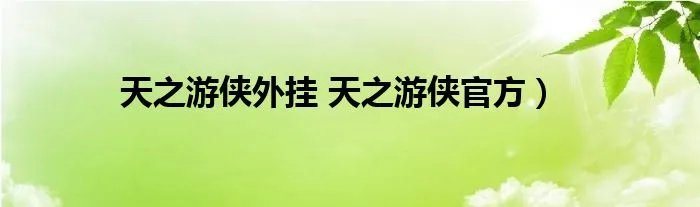 天之游侠外挂 天之游侠官方）