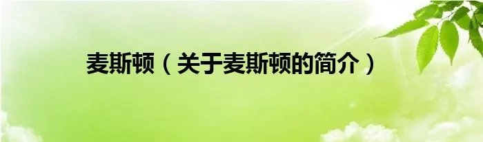 麦斯顿（关于麦斯顿的简介）