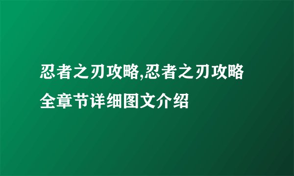 忍者之刃攻略,忍者之刃攻略全章节详细图文介绍