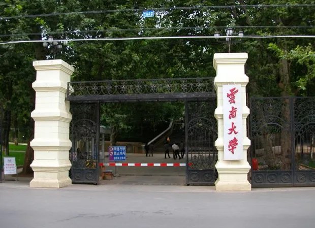 云南大学为何回应查无凡伟此人？