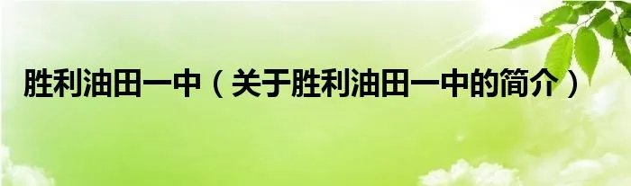胜利油田一中（关于胜利油田一中的简介）
