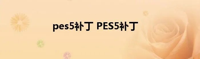 pes5补丁 PES5补丁