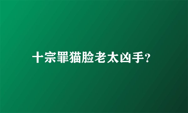 十宗罪猫脸老太凶手？