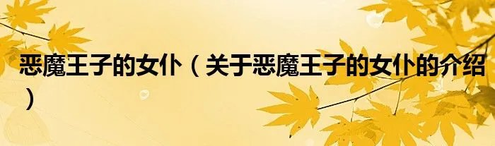 恶魔王子的女仆（关于恶魔王子的女仆的介绍）