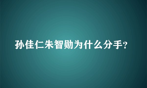 孙佳仁朱智勋为什么分手？