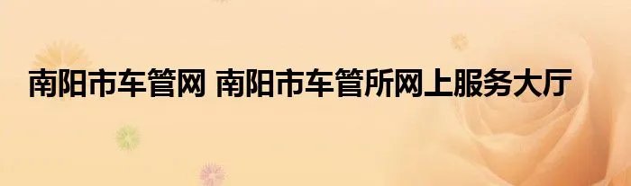 南阳市车管网 南阳市车管所网上服务大厅