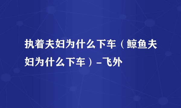 执着夫妇为什么下车（鲸鱼夫妇为什么下车）-飞外