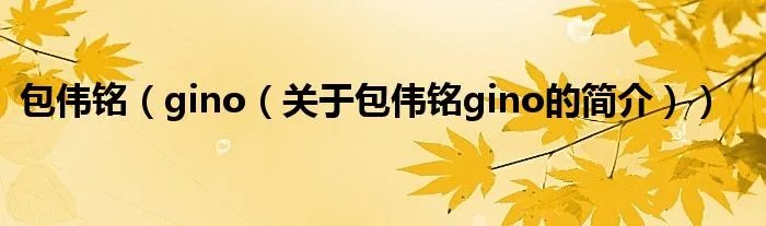 包伟铭（gino（关于包伟铭gino的简介））