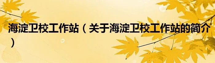 海淀卫校工作站（关于海淀卫校工作站的简介）