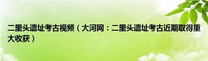 二里头遗址考古视频（大河网：二里头遗址考古近期取得重大收获）