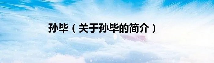孙毕（关于孙毕的简介）