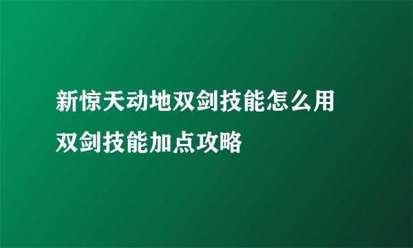 新惊天动地双剑技能怎么用 双剑技能加点攻略