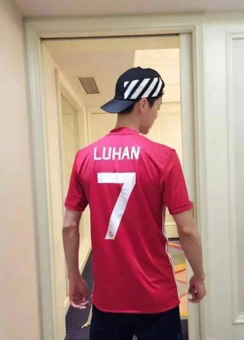 鹿晗下树了是什么意思?
