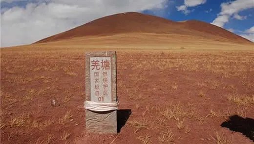 穿羌塘无人区被罚:这到底是个什么梗?
