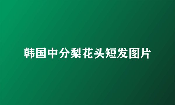 韩国中分梨花头短发图片