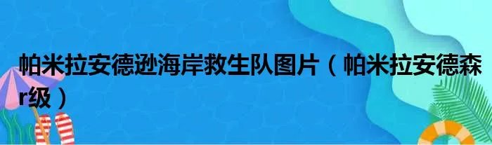帕米拉安德逊海岸救生队图片（帕米拉安德森r级）