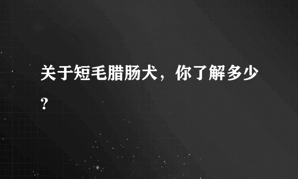 关于短毛腊肠犬，你了解多少？