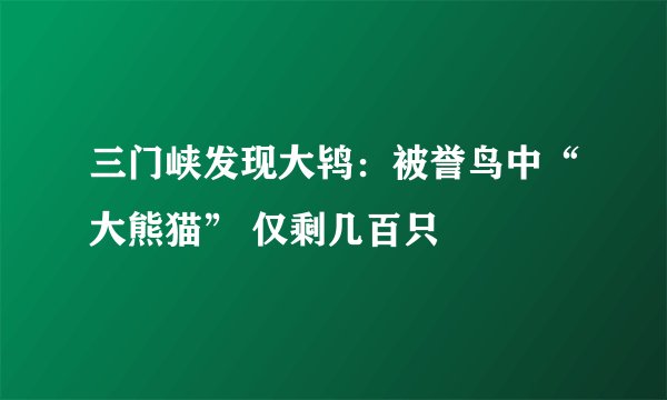 三门峡发现大鸨：被誉鸟中“大熊猫” 仅剩几百只