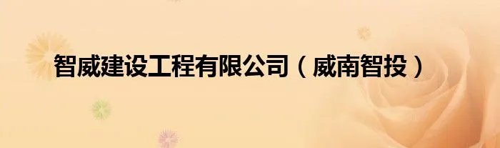 智威建设工程有限公司（威南智投）