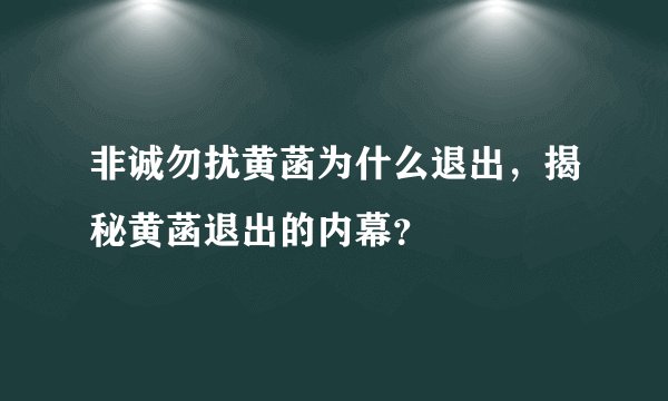 非诚勿扰黄菡为什么退出，揭秘黄菡退出的内幕？