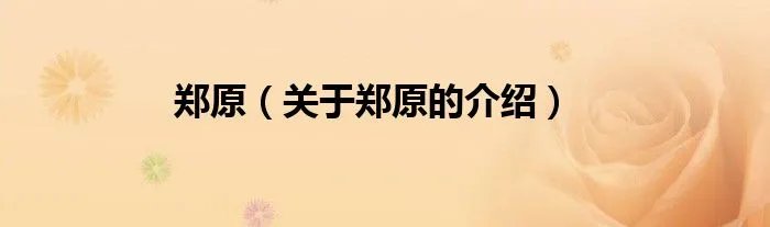 郑原（关于郑原的介绍）