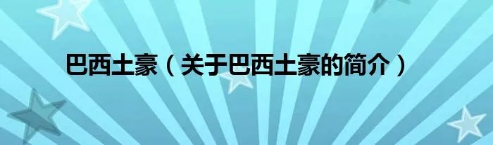 巴西土豪（关于巴西土豪的简介）